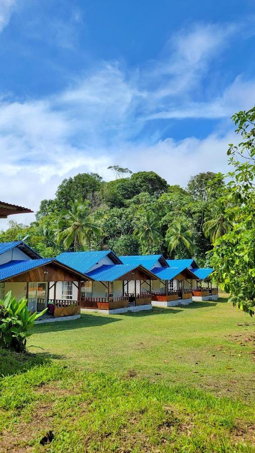 Coco Loco Lodge El Valle  外观 照片